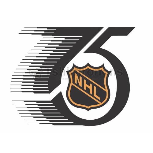 NHL T-shirts Iron On Transfers N254 - Click Image to Close